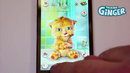 Talking Ginger App Hints and Tips