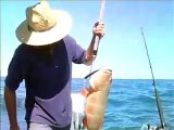 Lure Fishing for Coral Trout