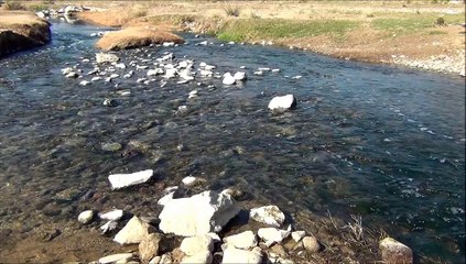 sonidos de la naturaleza  agua corriendo