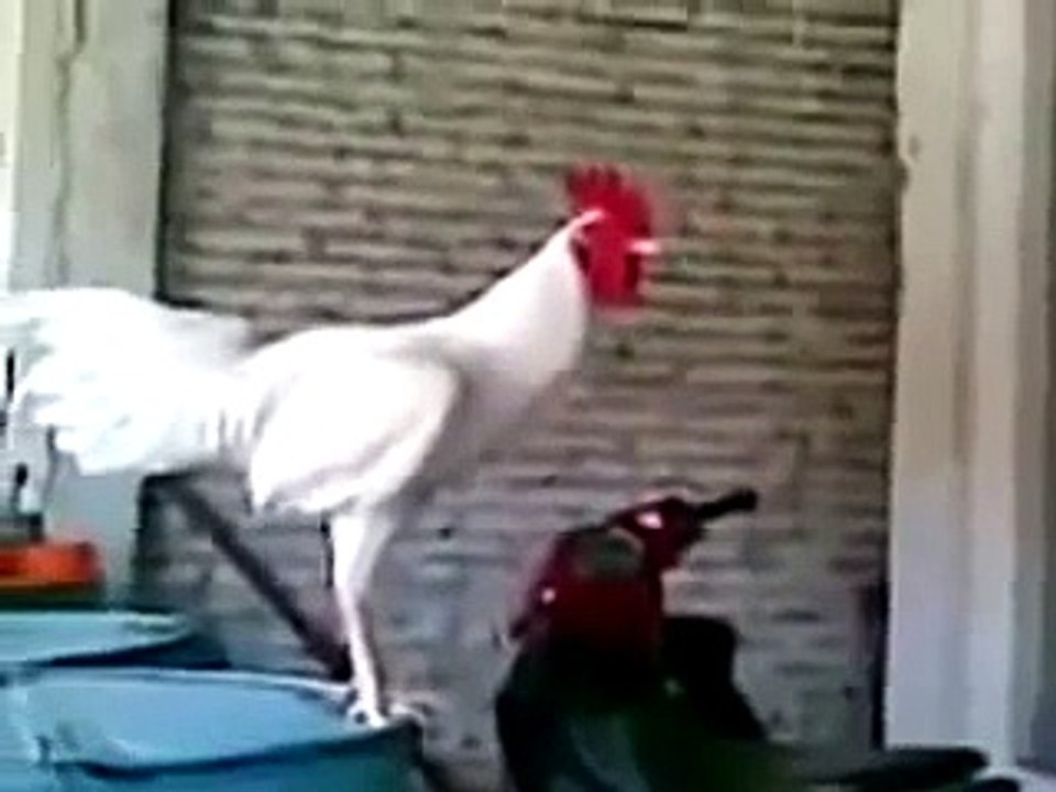 STREET FIGHTER ELEVATOR PRANK!