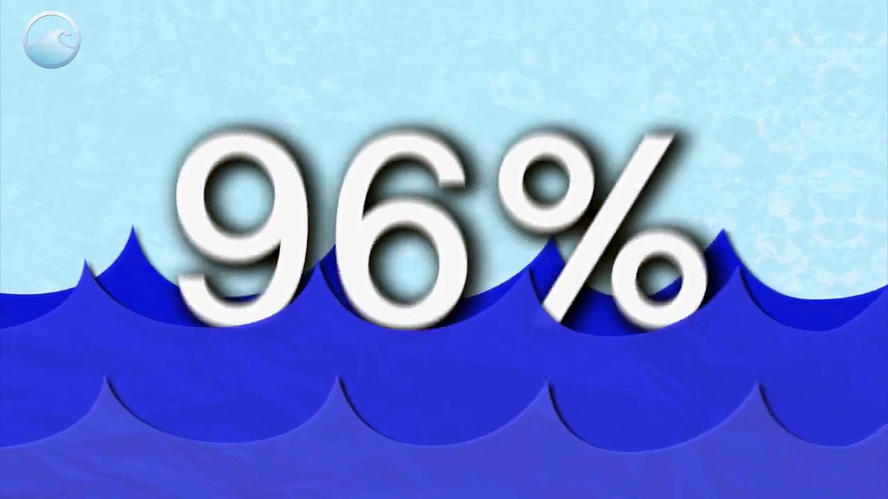 The Water Cycle
