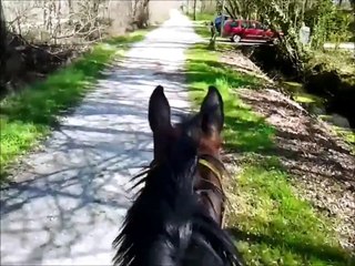 Un concours avec nous - Equifeel 12.04.2015