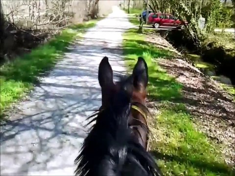 Un concours avec nous - Equifeel 12.04.2015