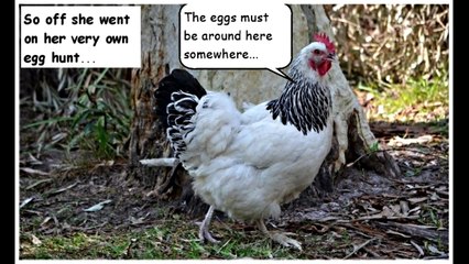 The Missing Eggs Mystery Childrens Story (slideshow)