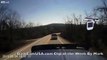 Dash Cam captures SUV hitting deer