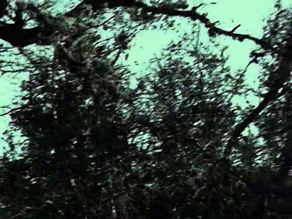 Fallout-Part 3-Hunted