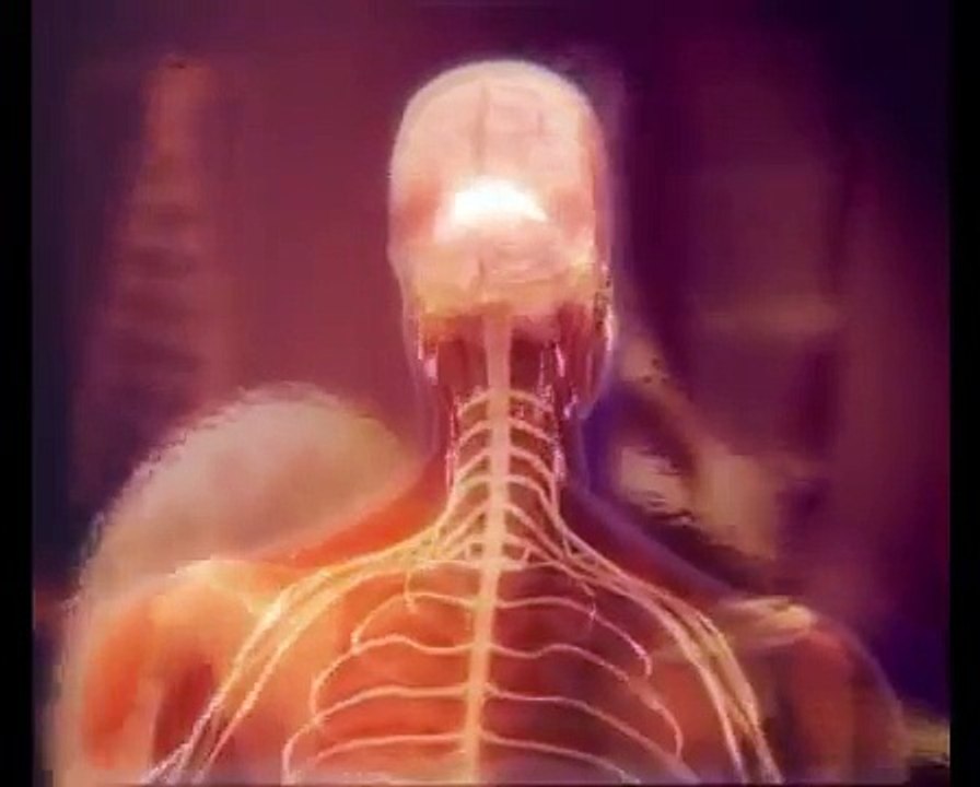 Who Am I - Raja Yoga Meditation Animation By Brahma Kumaris