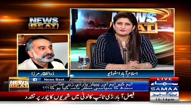 Bilawal Ko Dhaal Bana Kar Istemaal Kiya Ja Raha Hai - Zulfiqar Mirza