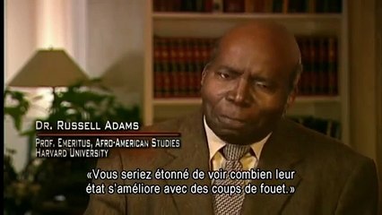 Psychiatrie: allumer les feux du racisme