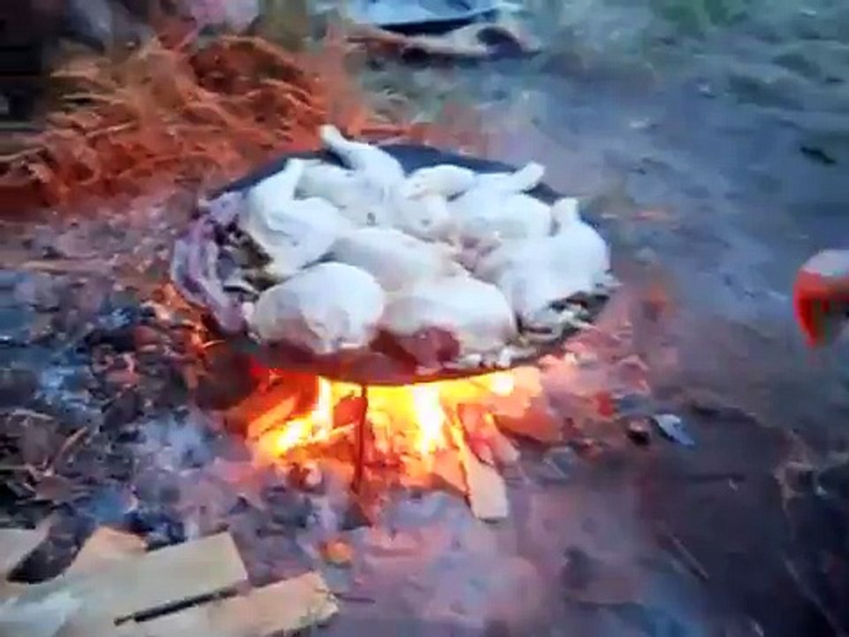 Caza de Jabalí (cuchillo fiel)