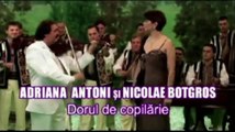 ADRIANA ANTONI - DORUL DE COPILARIE