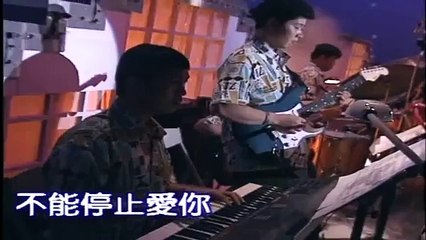 葉璦菱-不能停止愛你