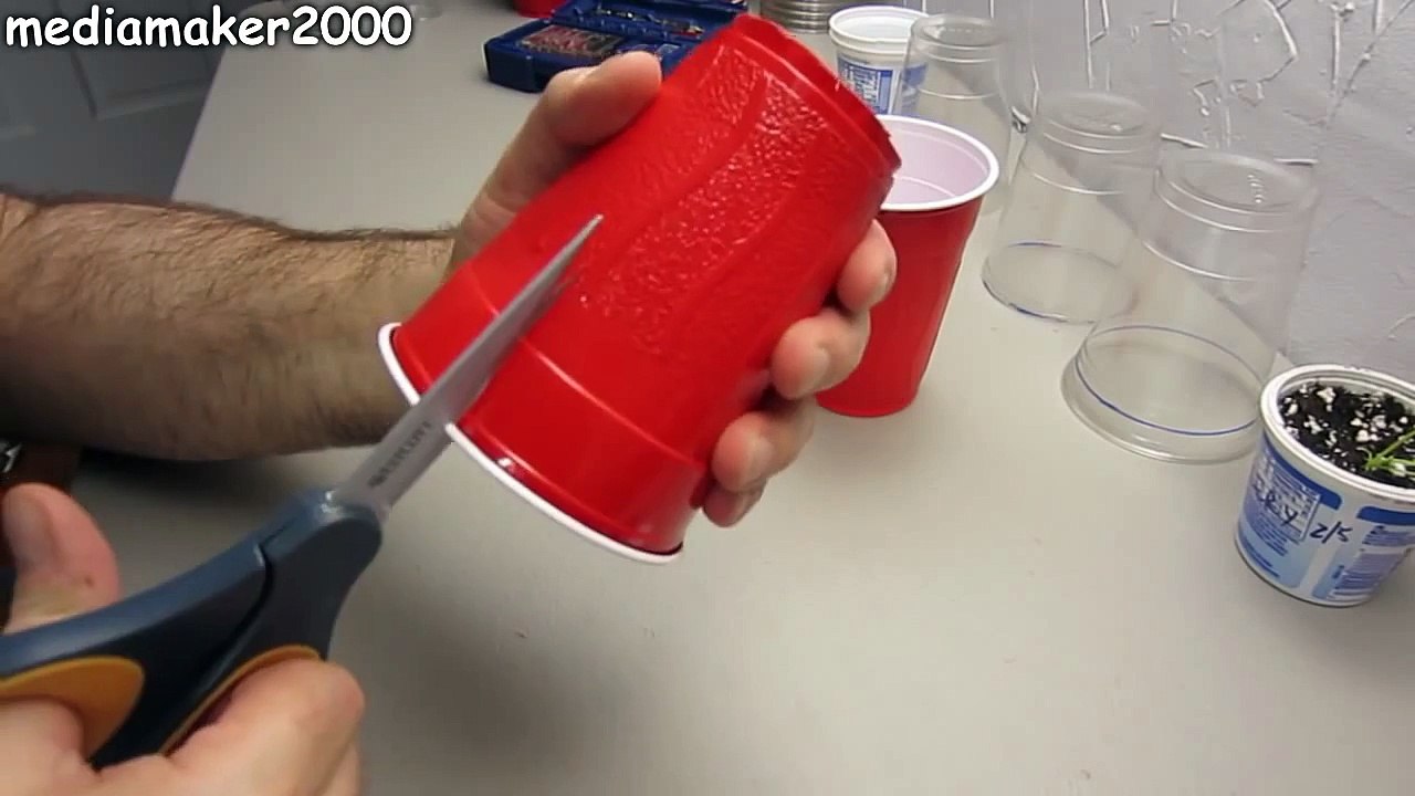 Easiest Solo Cup Transplant Starter Pots DIY