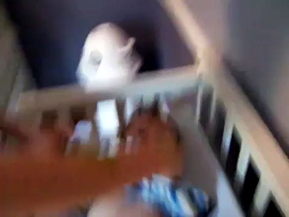 poop on mom