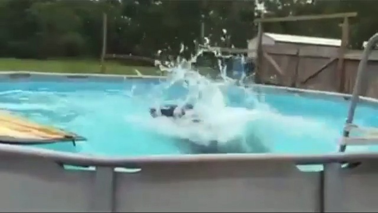 Bear Love Swimming in The Pool