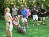 Koala love! Australia Zoo & OzMosaics Steve Irwin Day