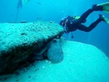 Tauchen Fuerteventura - Jandia - Großes Muränenriff - Großer Octopus - Oktober 2012 - Stevie