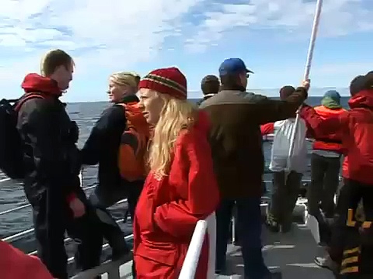 Whale watching in Norway