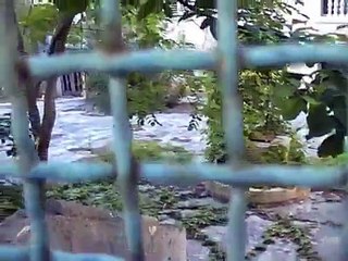 Das ehemalige Kinderkurheim der DDR in Veli Losinj