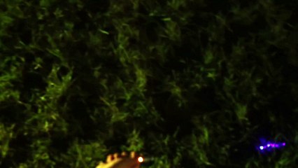 Berlinlasers 5mW blue laser pointer Show On Grass at night