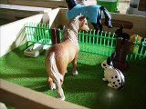 (Schleich Chevaux) Concours de Cross du FAON 2011