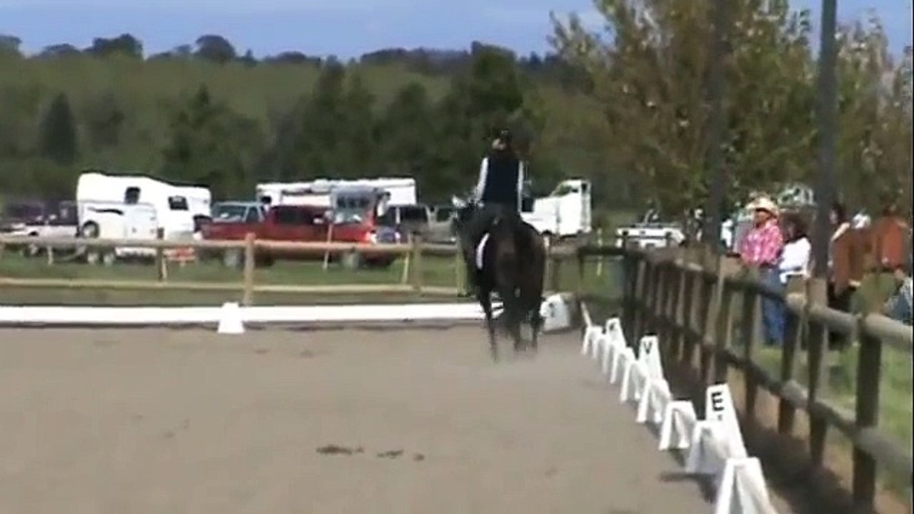 Tolo and Tarra First level test 1
