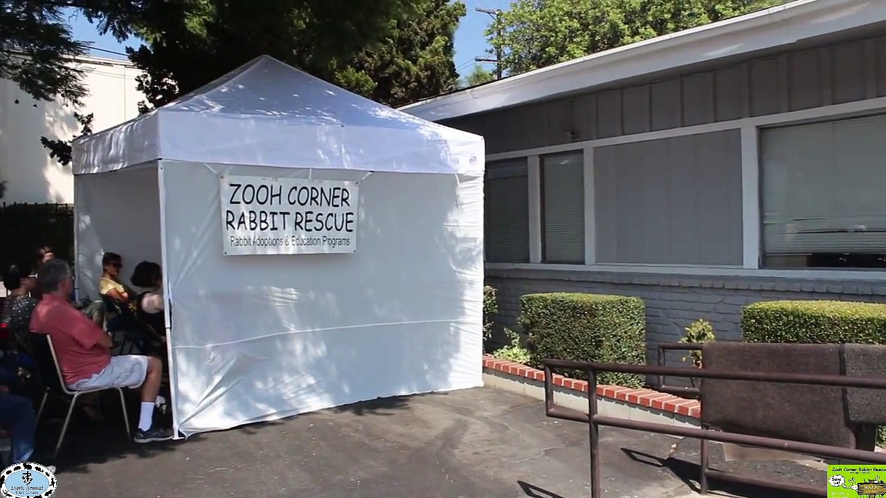 Common Rabbit Diseases & Illnesses - Rhinitis