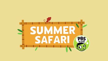 WILD KRATTS   Summer Safari   PBS KIDS