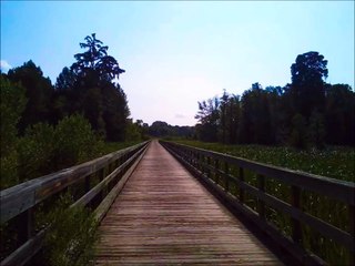 Joseph Campbell on Following Your Bliss