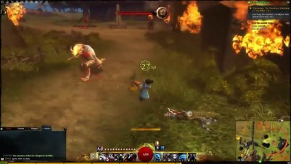 Guild Wars 2 - Thief Leveling Guide