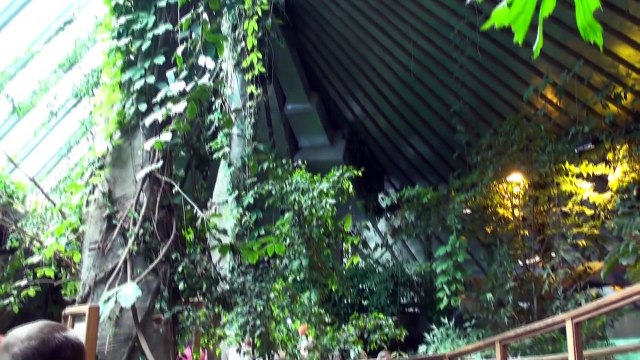 RiGA Zoo 2013 Рижский зоопарк часть 2 Тропический дом