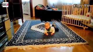 Cute Cats and Dogs Love Babies Compilation 2015 funny