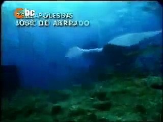 Abertura de Porto dos Milagres