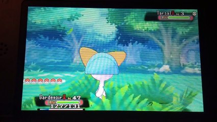 Pokemon saphir alpha tarsal chromatique et une nouvelle technique de chasse ( shiny)