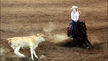 Stock Horse of Texas Judge's Corner: Working Cow Horse Open & Non Pro w/ Roping