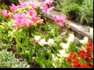 Satan and Satanism according to Islam