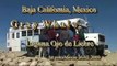 Grey Whale Watching - Baja California -Laguna Ojo de Liebre  Guerrero Negro, Mexico