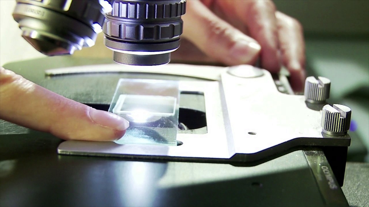 Ministère de la Recherche | Film Rencontres de Lindau 2015