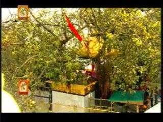 Bede Paar Ho Gaye   [Full Song] Itihaas Mata Chintapurni