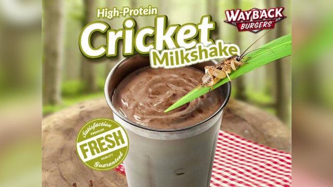 Would you drink a cricket milkshake?