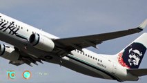 Bird strike forces Alaska Airlines Flight 336 to make emergency landing in Seattle