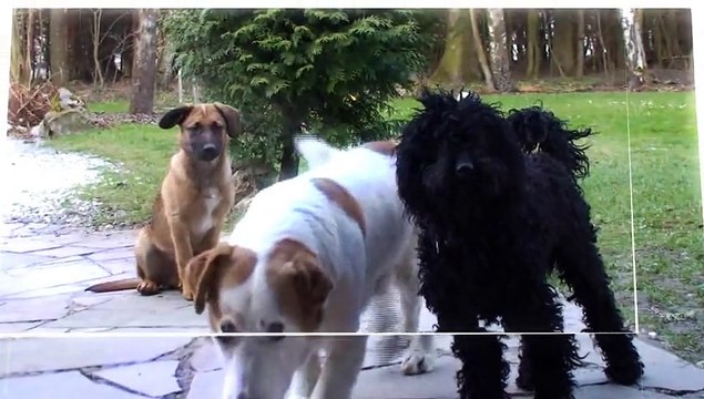 After Effects Project Files - 3D Transitions Pack - VideoHive 9136500