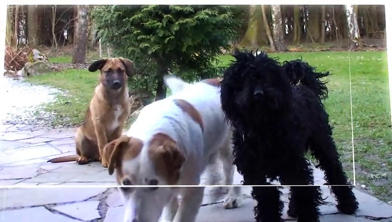 After Effects Project Files - 3D Transitions Pack - VideoHive 9136500