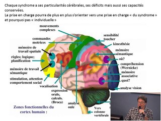 Maladies rares et scolarisation