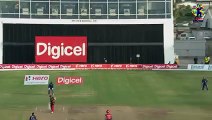The one and only Shahid Afridi  smashes two towering sixes
