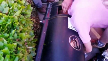 Golfeur avec la tête coincée dans une poubelle