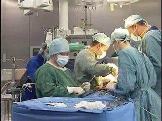 Смена пола. 3 канал