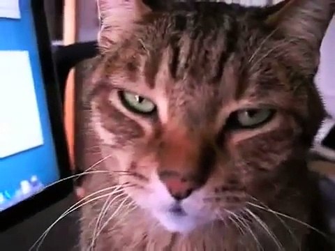 HOW INSENSITIVE (STING & ANTONIO CARLOS JOBIM)