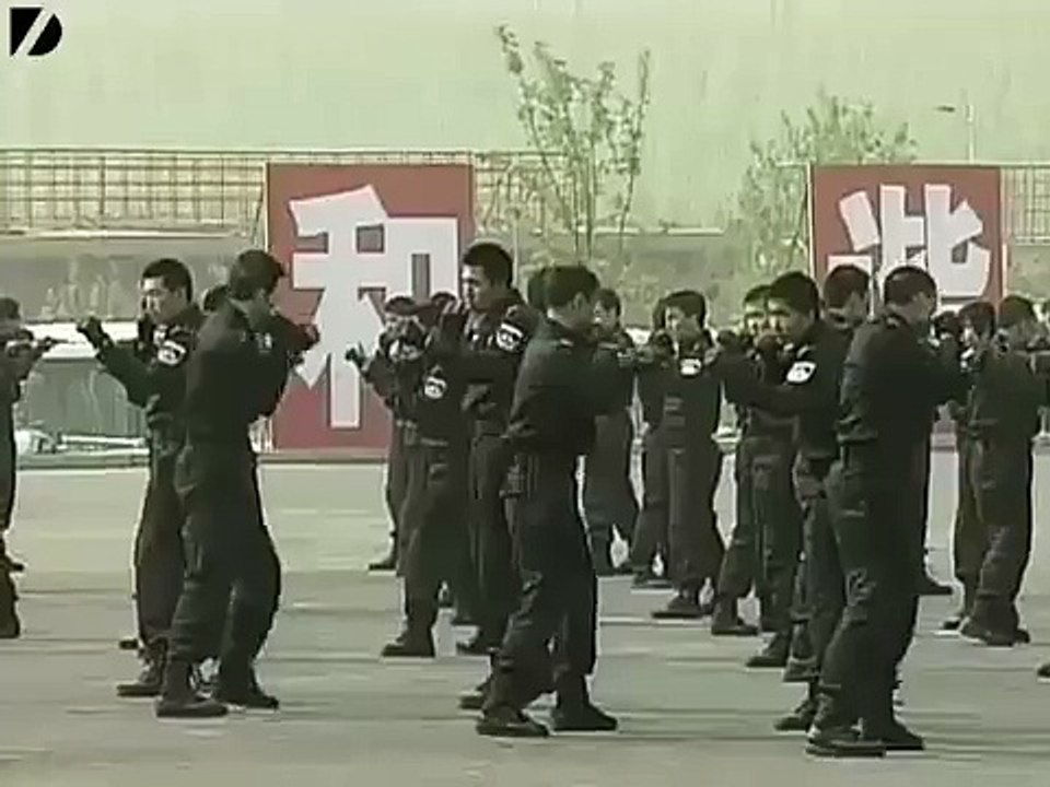 The chinese swat
