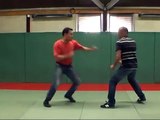 Tekki shodan nidan et sandan Défense Bunkai par Didier LUPO